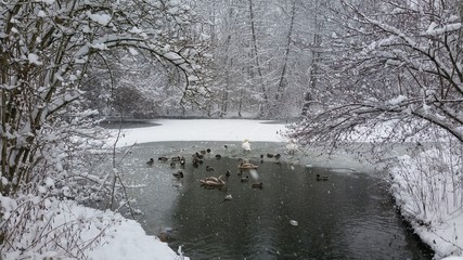 Winter wonderland in Bavaria