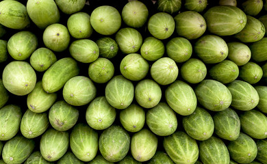 Closeup fresh cucumber background