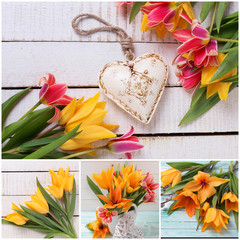 Collage with fresh yellow and pink tulips and heart