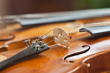 Fragment of a violin closeup