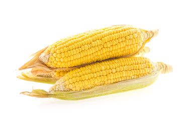 isolated corn