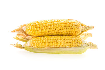 isolated corn
