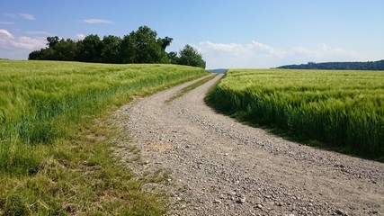 Feldweg