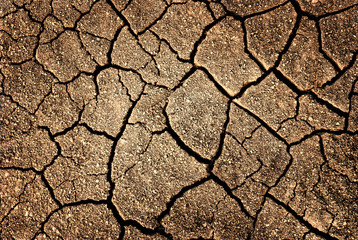 cracked earth