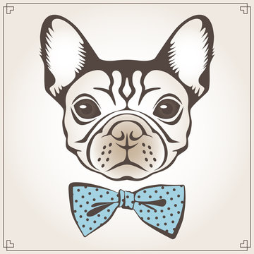 Vector illustration of the dog
