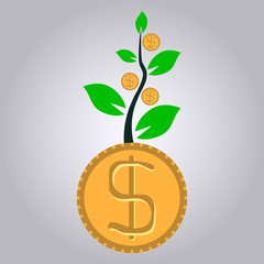 money plant business growth concept, dollar plant