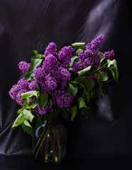 a bouquet of lilac on a dark background close-up
