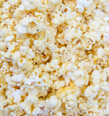 popcorn grains on the white background