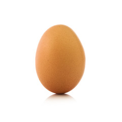 Single chicken egg