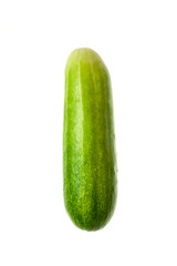 Cucumber