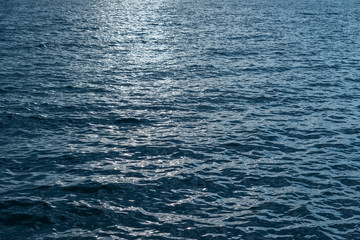 Blue sea surface for background. Selective focus on foreground.