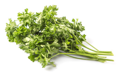 Parsley herb leaves over white background