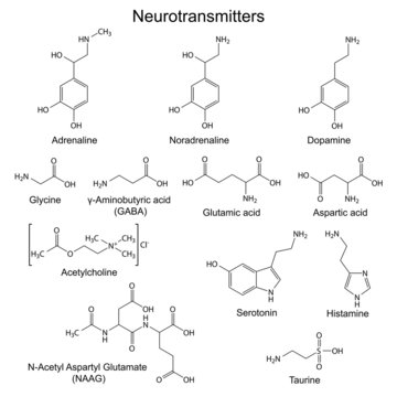Chemical formulas of basic neurotransmitters