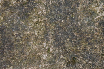 Granit dunkel mit Moos bewachsen