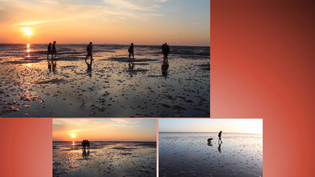 Mehrere Personen bei einer Wattwanderung in der Nordsee