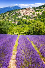 Lavender field and village, France.