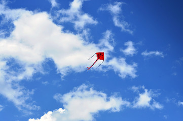 Kite in the sky
