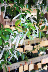 おみくじと絵馬 - Written oracle and votive tablets of Japan