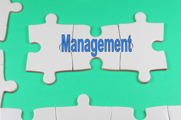 Fototapeta premium Management Text - Business Concept