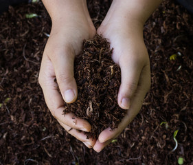 Hand holding soil surface top view
