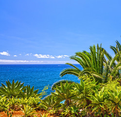 Fototapeta na wymiar Summer tropical beach, Madeira