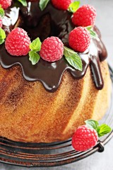 Vanilla-chocolate cake with fresh raspberries 