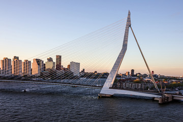 Erasmus Bridge and harbor in Rotterdam, Netherlands