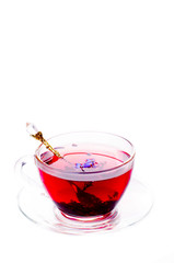Cup of tea with teabag over white