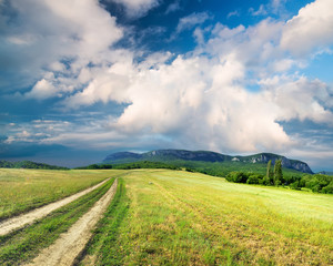 Road on green field. Agricultural landscape