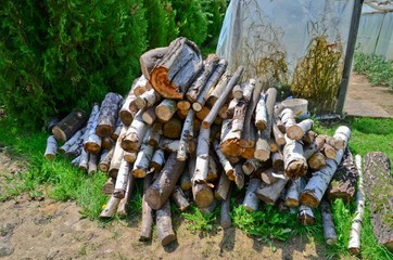Firewood