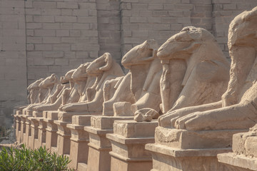 Avenue of the ram-headed Sphinxes. Karnak Temple. Luxor, Egypt