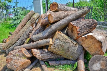 Firewood
