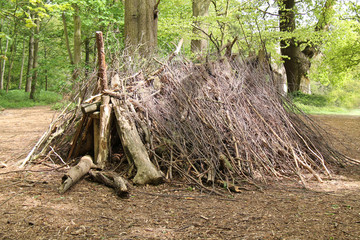A Woodland Shelter Made from Twigs and Logs.