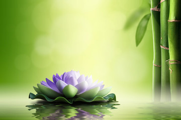 Zen concept. Purple lotus in bamboo forest.