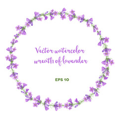 Vector watercolor wreath of lavender. 