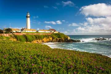 Flowers and view of Piegon Point Lighthouse in Pescadero, Califo