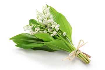 Wall murals Lily of the valley lily of the valley posy isolated on white background