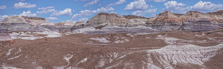 Blue Mesa At The Petrified Forest National Park