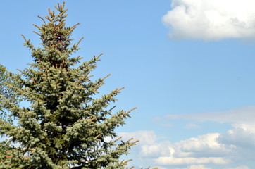 w podroży po Europie  © agnes78