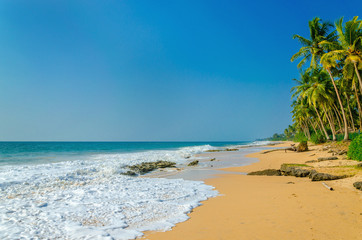 Sandy beach with high palm trees