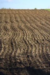 plowed land ready for planting potato in the village