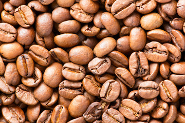 Layer of roasted coffee beans