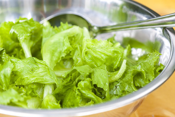 lettuce in bowl