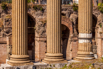 Fototapeta premium Forum Romanum in Rom