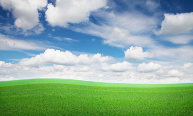 Green grass field and blue sky