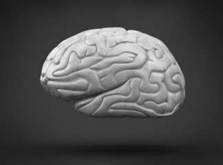 Human brain on black background
