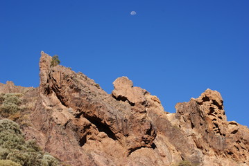 Fototapeta premium SONY DSC