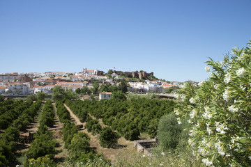 Fototapeta na wymiar Castle of Silves on a hilltop on the Algarve Portugal