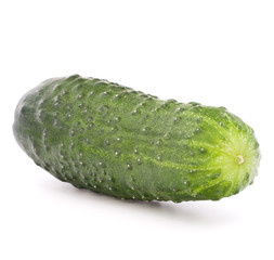 Cucumber vegetable  isolated on white background cutout