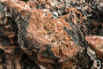 Rock salt on stones 